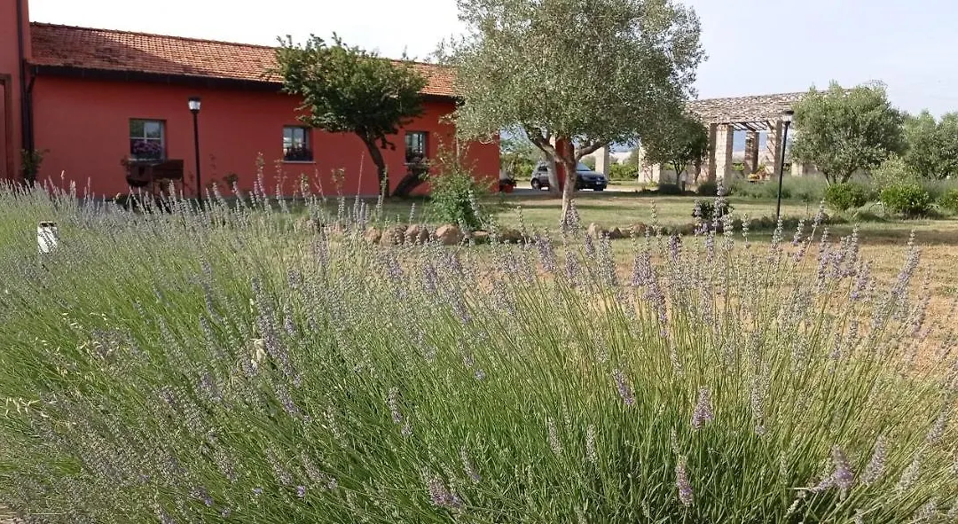 Il Casale di Giulia di Aprilia-1