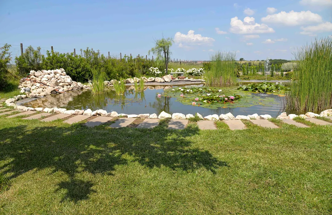 La collina delle fonti-1