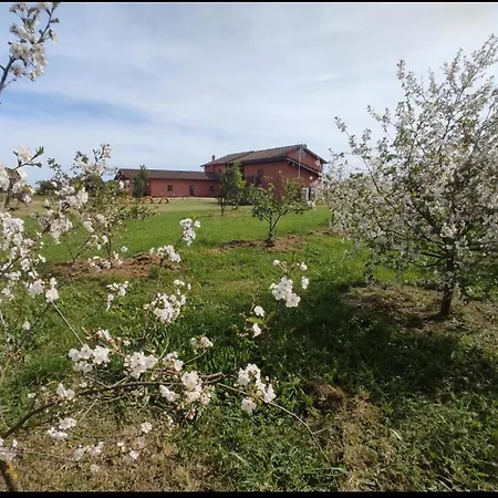 Il Casale di Giulia di Aprilia-3